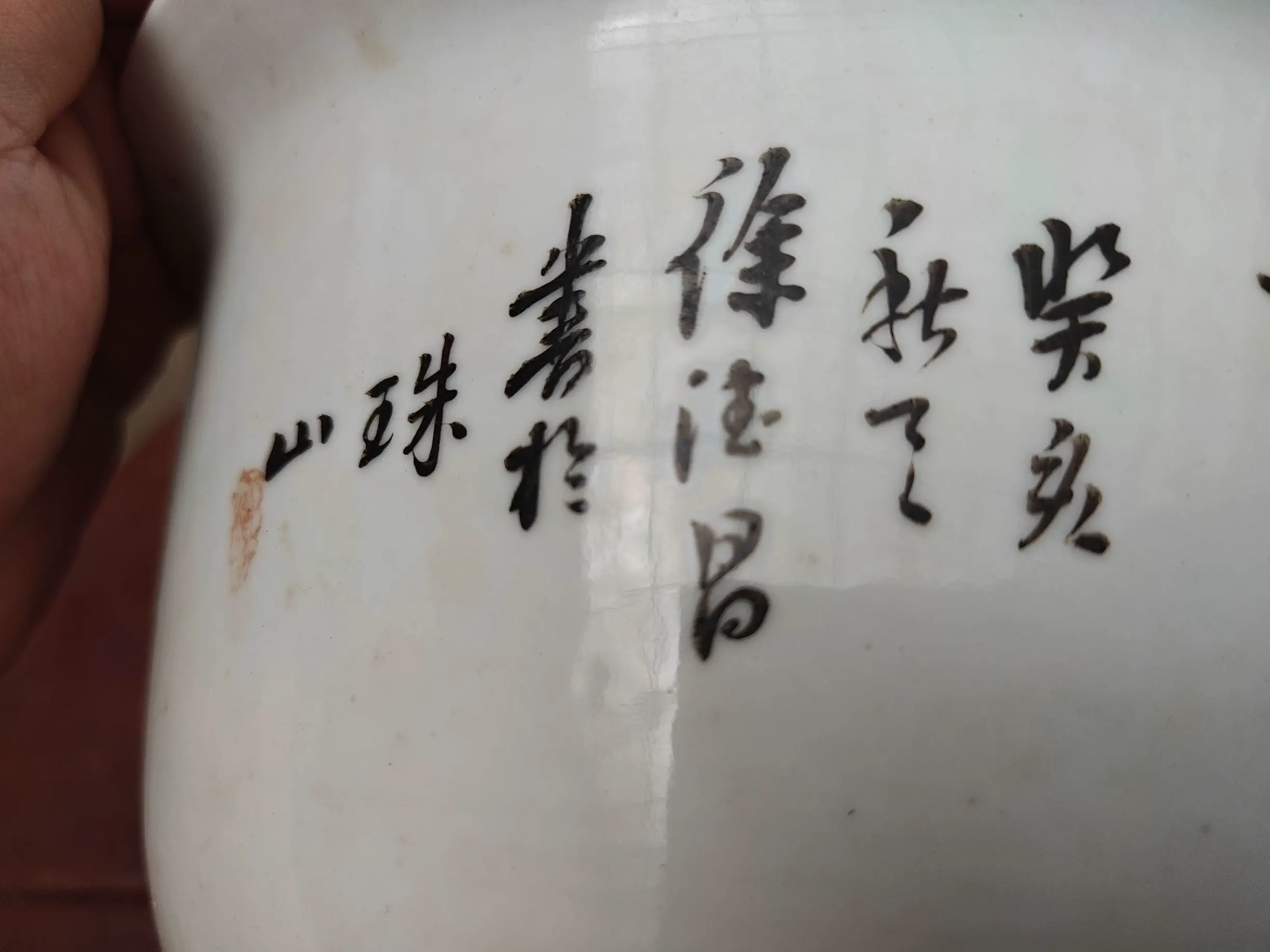 102岁的花盆03.webp